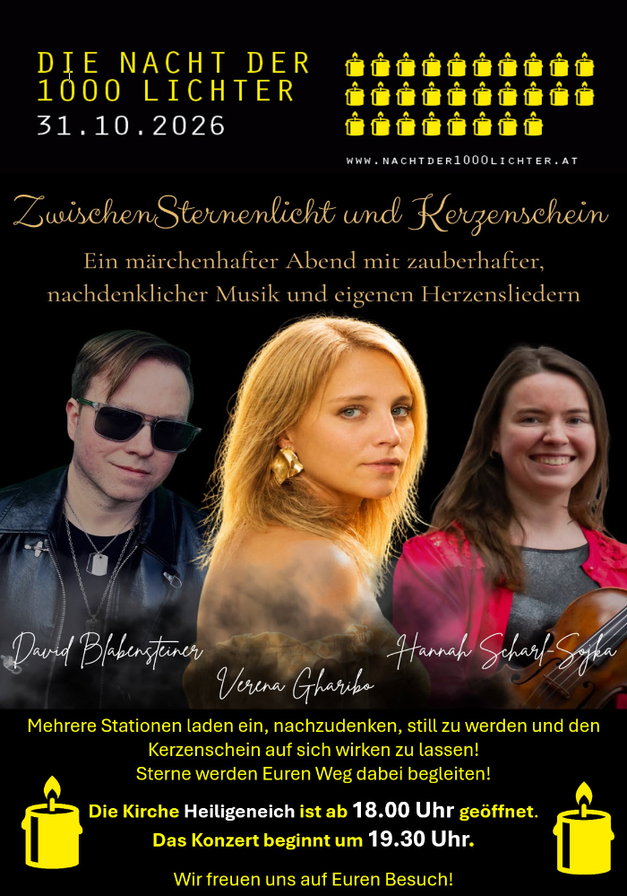 nacht1000-lichter2026.jpg