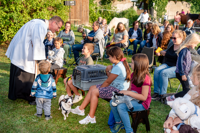 tiersegnung2023190.jpg